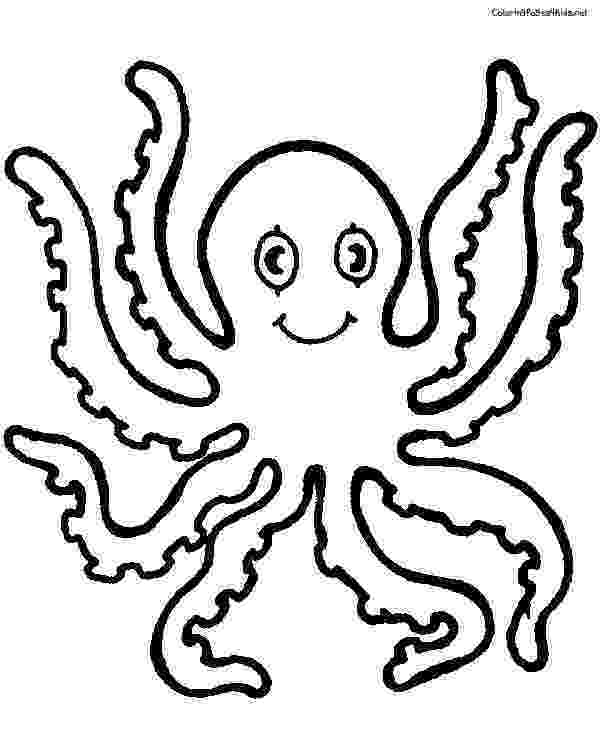 octopus coloring page preschool sketches fish google search octopus coloring page preschool coloring page octopus 