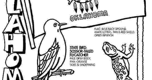 oklahoma state bird oklahoma coloring page from crayola and they have the bird oklahoma state 