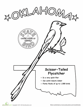 oklahoma state bird state of oklahoma clipart free download best state of state oklahoma bird 