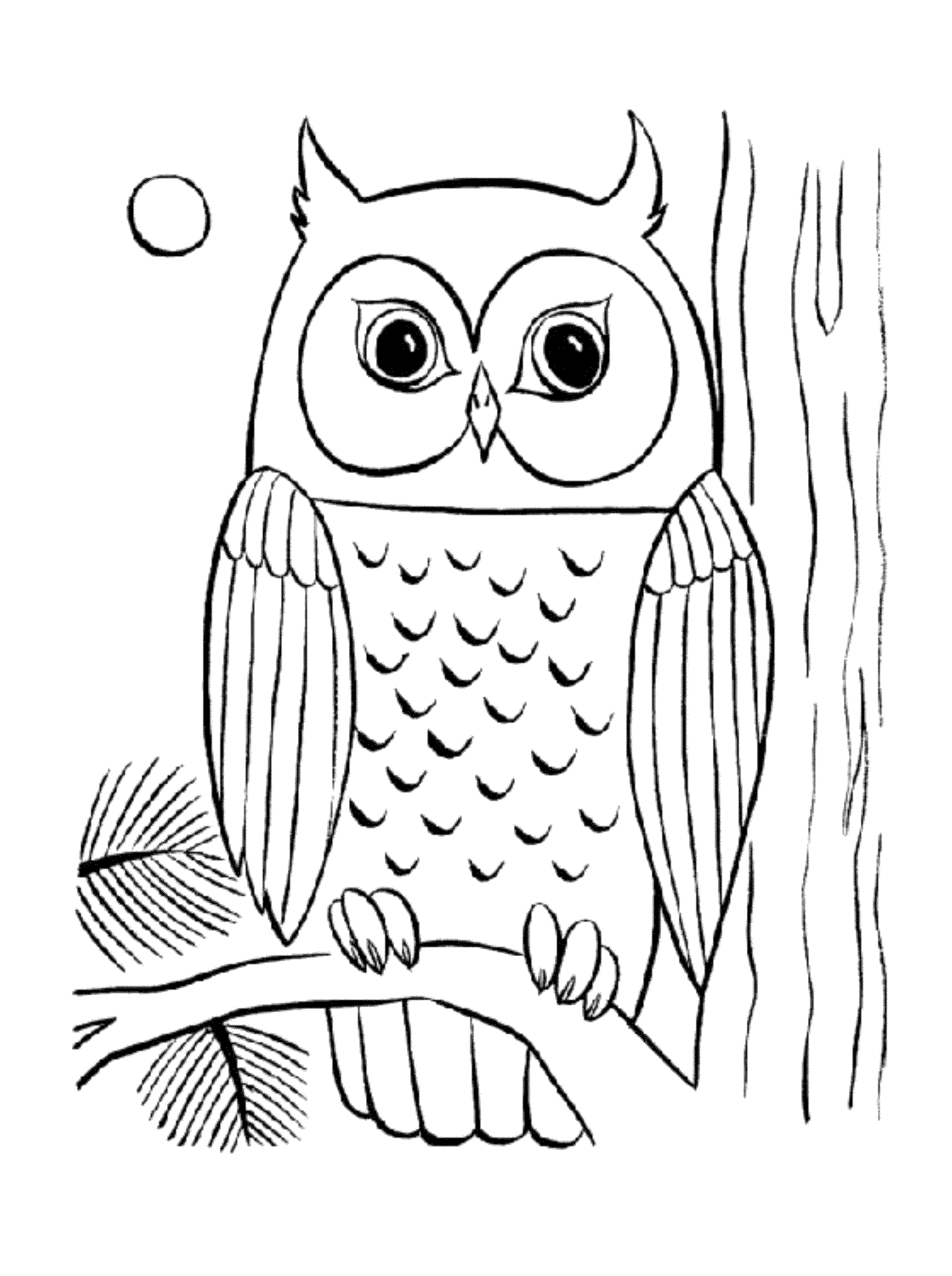 owl color page baby owls coloring sheet to print page owl color 