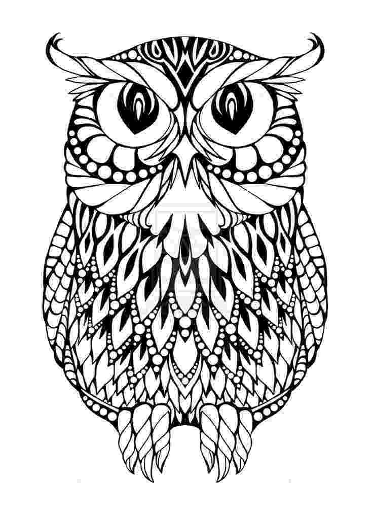 owl color page owl coloring pages coloring pages pictures imagixs page color owl 