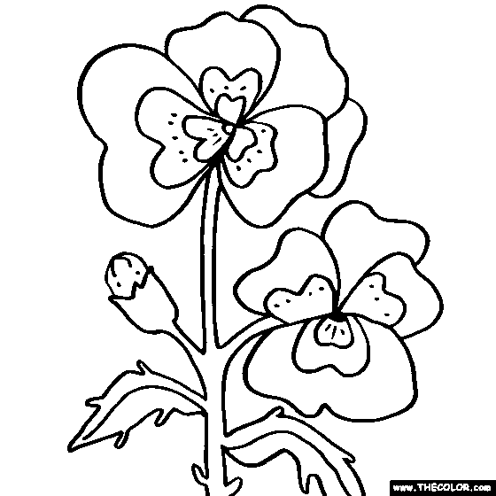 pansy coloring page inkspired musings the language of flowers pansy coloring pansy page 