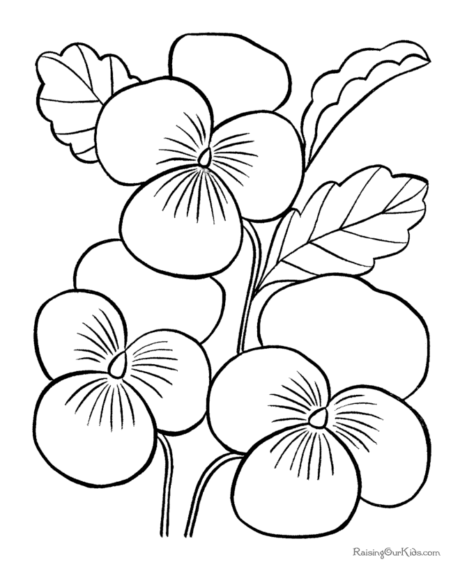 pansy coloring page pansies coloring pages coloring pages to download and print coloring pansy page 