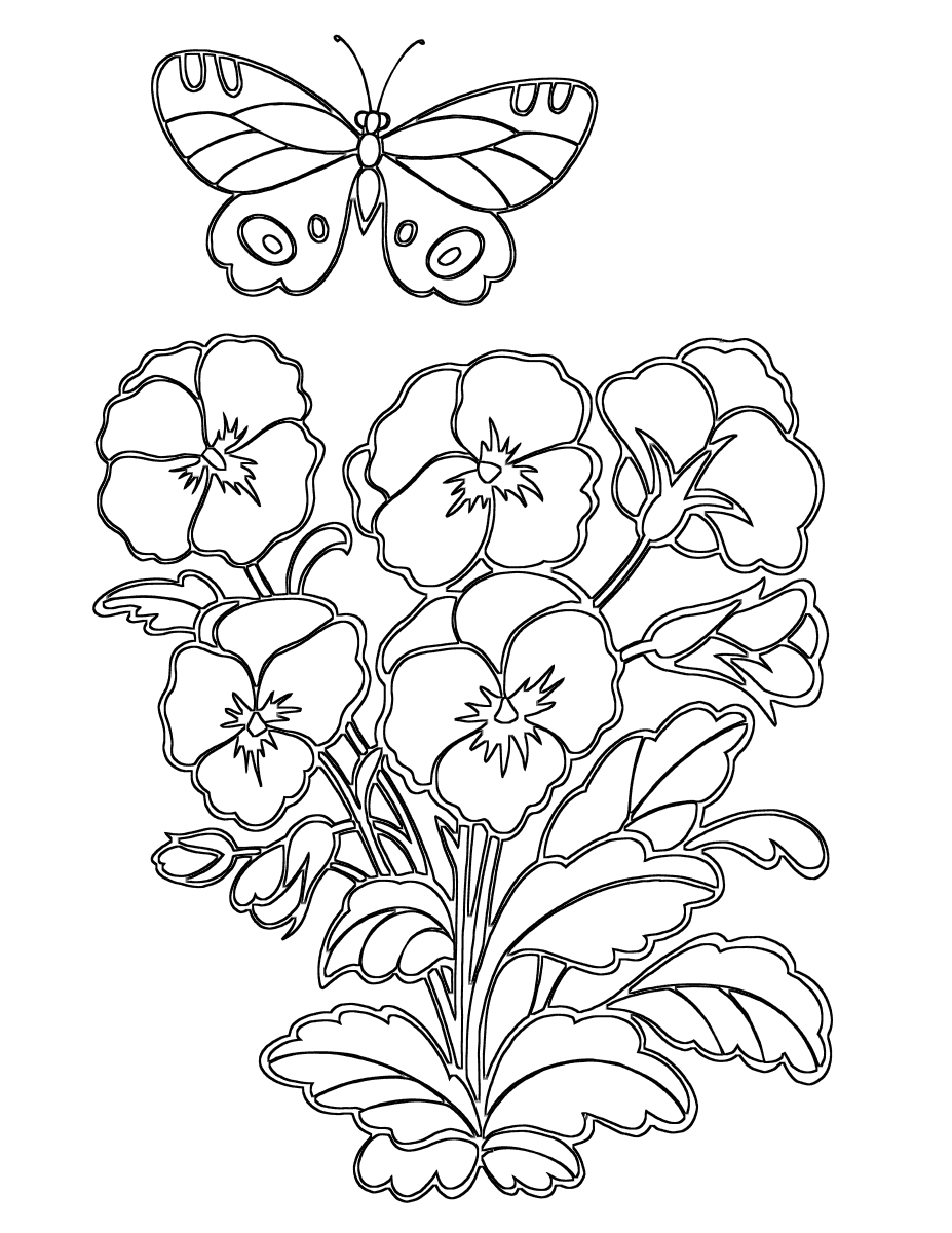 pansy coloring page pansy line drawing at getdrawingscom free for personal coloring pansy page 