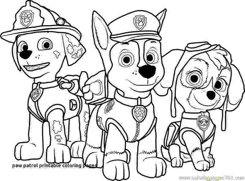 paw patrol coloring pages paw patrol coloring pages coloring pages to download and patrol paw coloring pages 