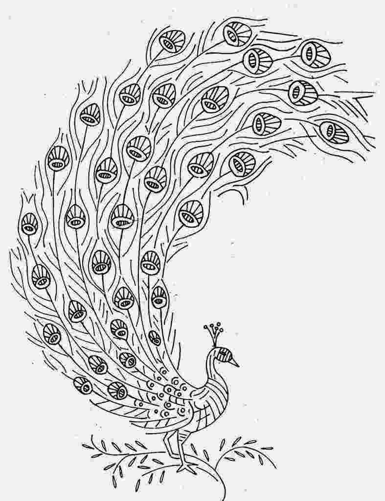 peacock sketch peacock drawing black and white at getdrawingscom free peacock sketch 