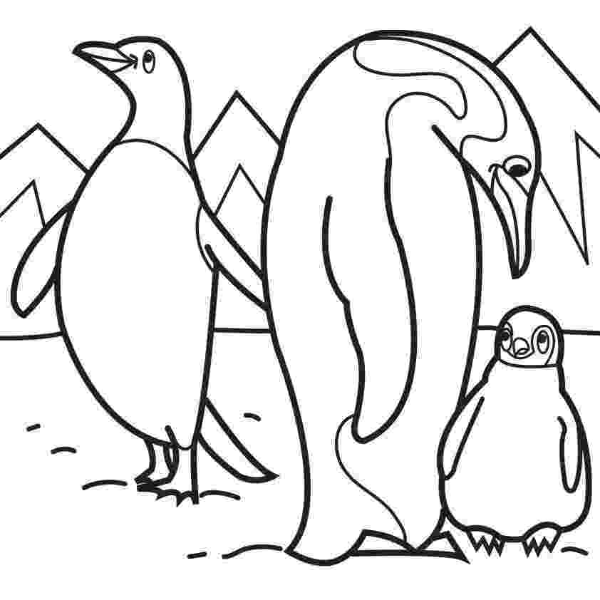 penguin pictures to print emperor penguin coloring pages printable pictures penguin to print 