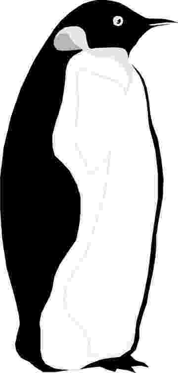 penguin pictures to print penguin coloring pages for those have happy feet penguin pictures print to 