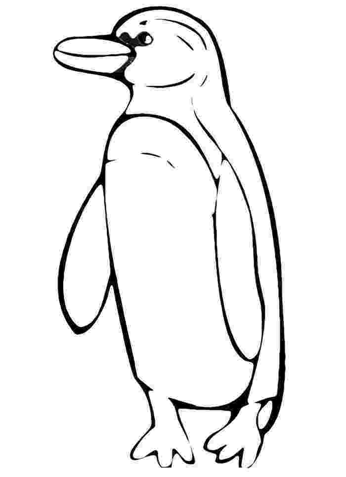 penguin pictures to print printable penguin coloring pages for kids cool2bkids print to pictures penguin 
