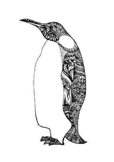penguin sketch 105 best zentangle penguins images on pinterest sketch penguin 