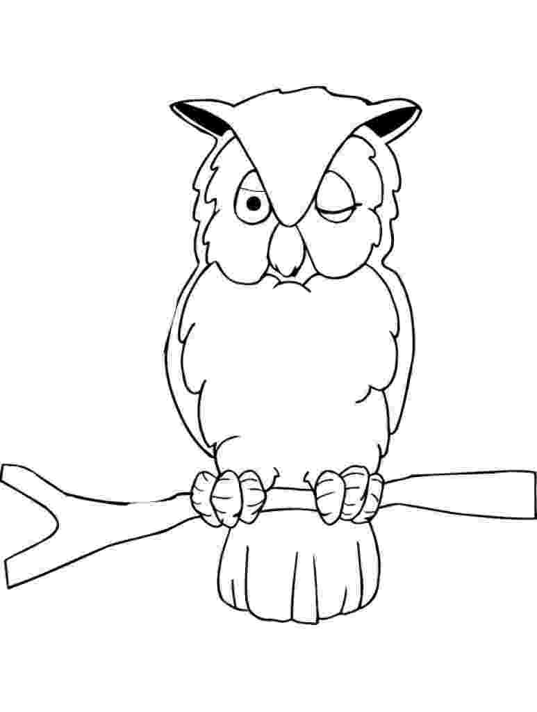 pics of owls to color cutest cartoon owl coloring page free printable coloring of to owls pics color 