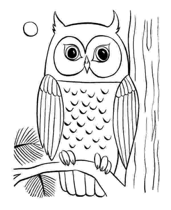 pics of owls to color free printable owl coloring pages for kids cool2bkids color of to pics owls 