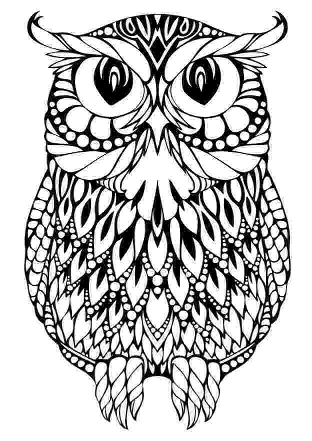 pics of owls to color owl coloring pages all about owl to pics of owls color 