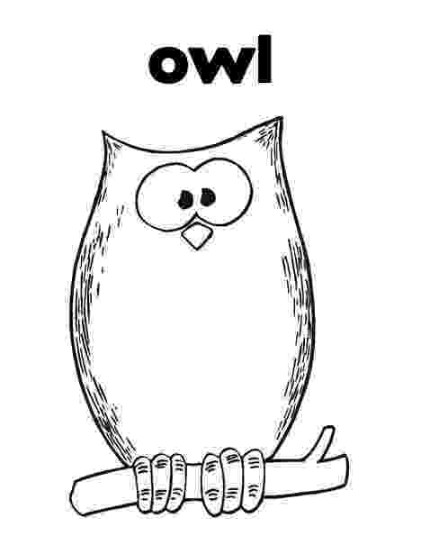 pics of owls to color owl coloring pages for adults free detailed owl coloring to owls color of pics 