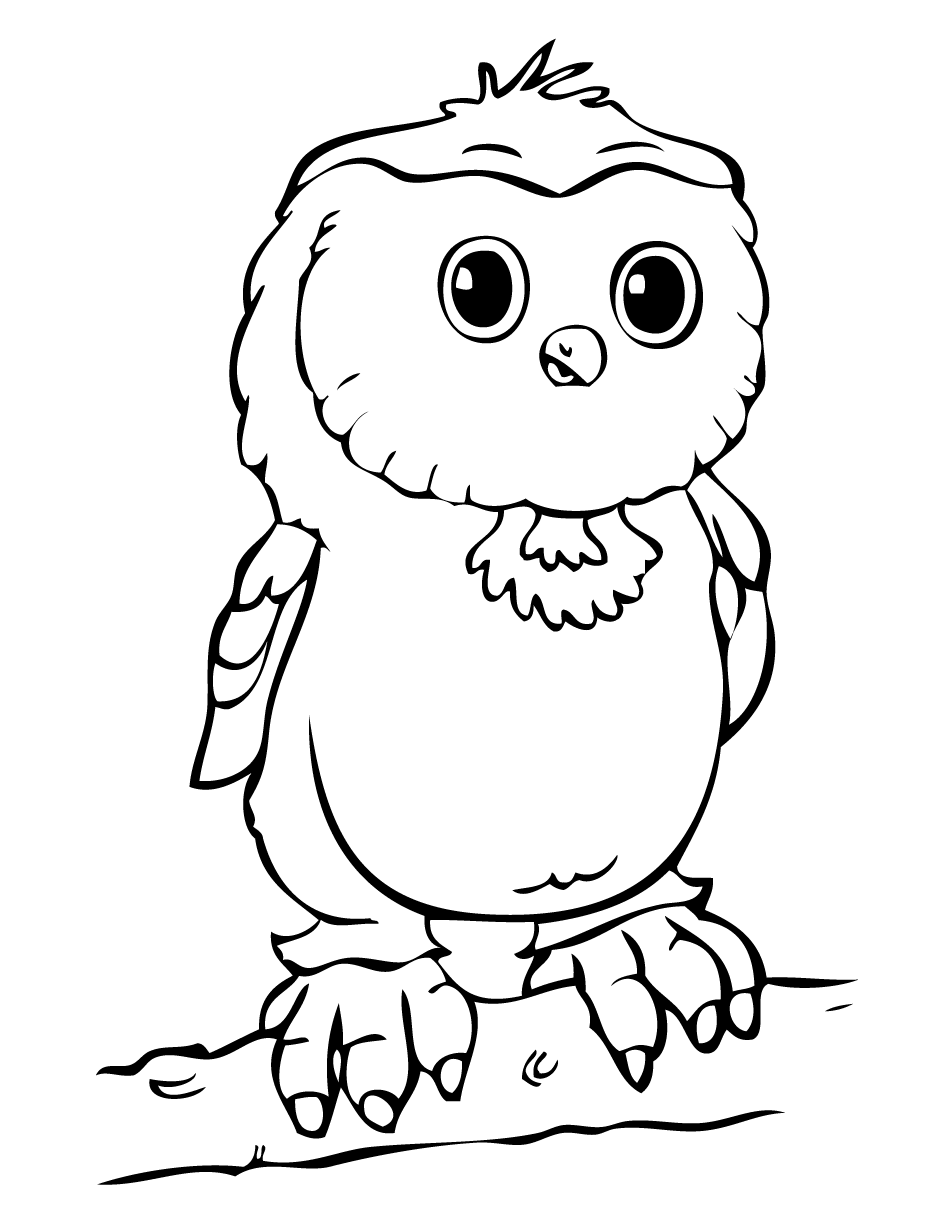 pics of owls to color owl coloring pages owl coloring pages color pics of to owls 