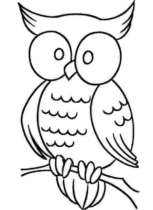 pics of owls to color owl coloring pages print free printable cute owl coloring to owls pics of color 