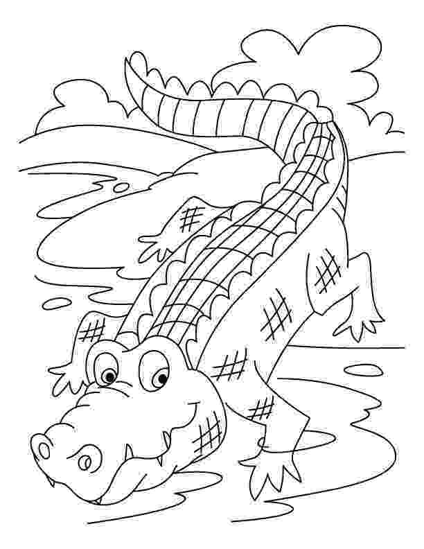 picture of a crocodile to colour coloring page of animals for kids crocodiles coloring colour crocodile picture a to of 