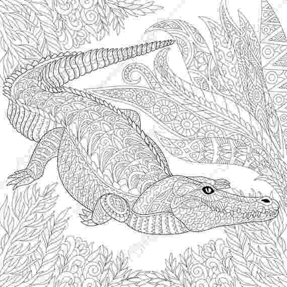 picture of a crocodile to colour crocodile alligator 3 coloring pages animal coloring book of a to picture crocodile colour 