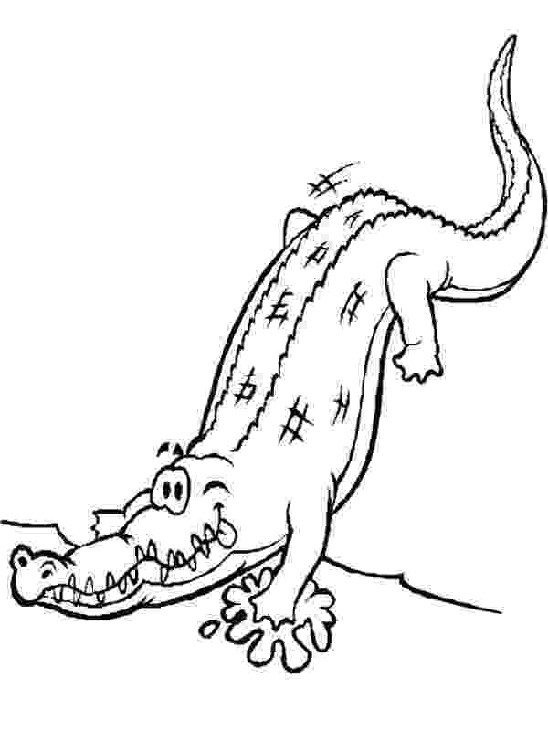 picture of a crocodile to colour crocodile coloring pages to download and print for free of crocodile colour picture to a 