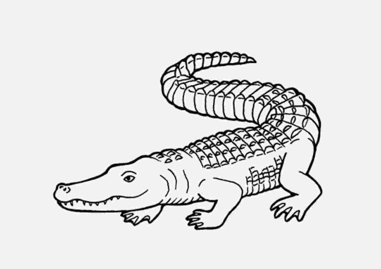 picture of a crocodile to colour crocodile free printable templates coloring pages crocodile of a to picture colour 