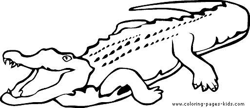 picture of a crocodile to colour crocodile outline clipart panda free clipart images crocodile colour picture to a of 