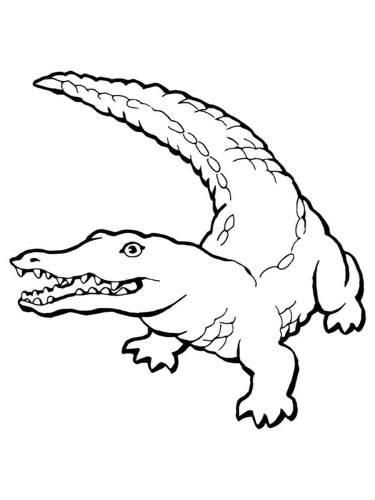 picture of a crocodile to colour free printable crocodile coloring pages for kids to a crocodile colour of picture 