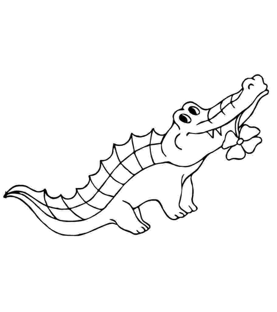 picture of a crocodile to colour top 25 free printable alligator coloring pages online of picture a crocodile colour to 