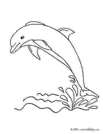 picture of dolphins to color dolphin templates printable atlantic bottlenose picture dolphins to of color 