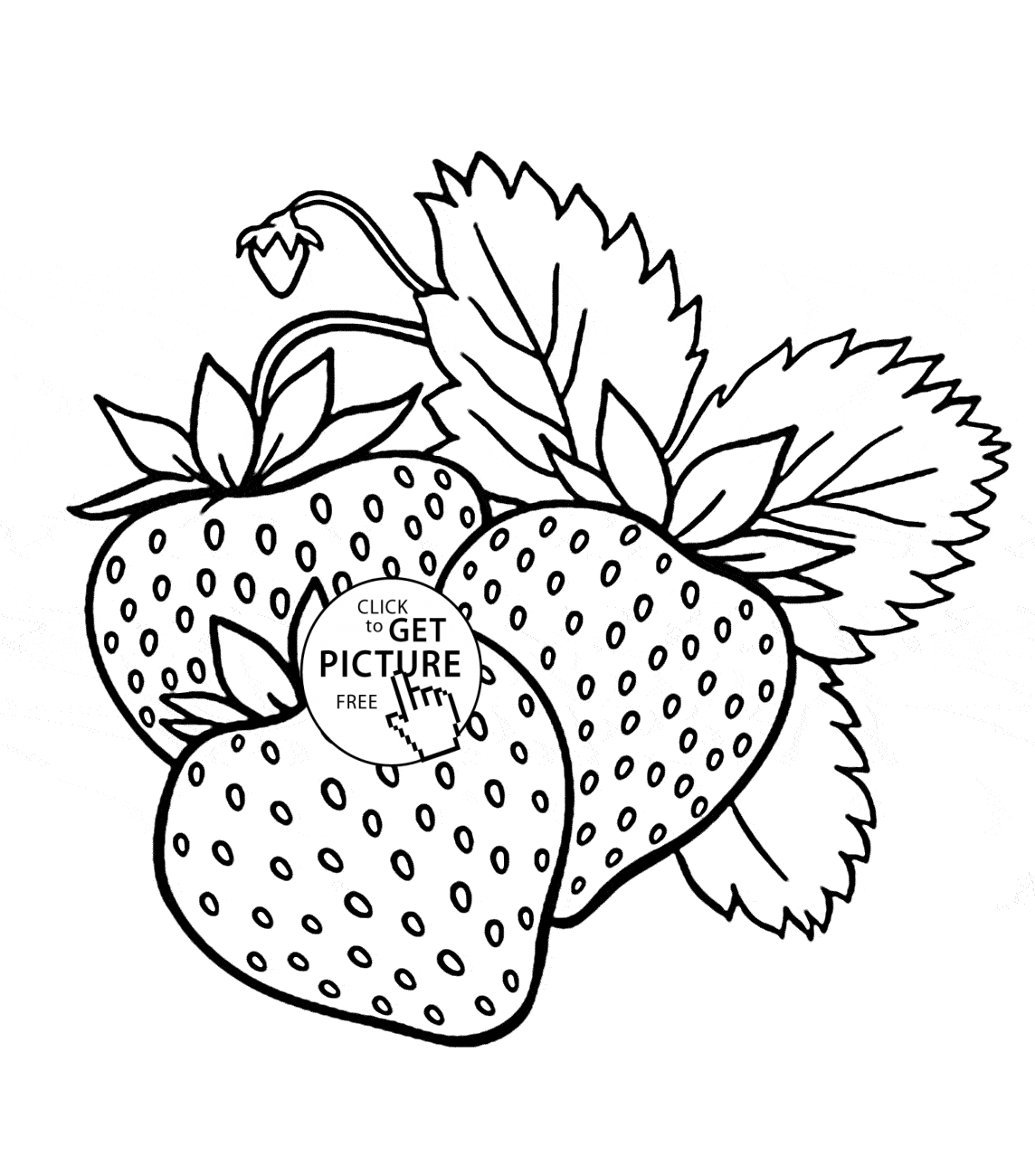 picture of fruits for colouring free coloring pages fruit coloring home fruits of for colouring picture 