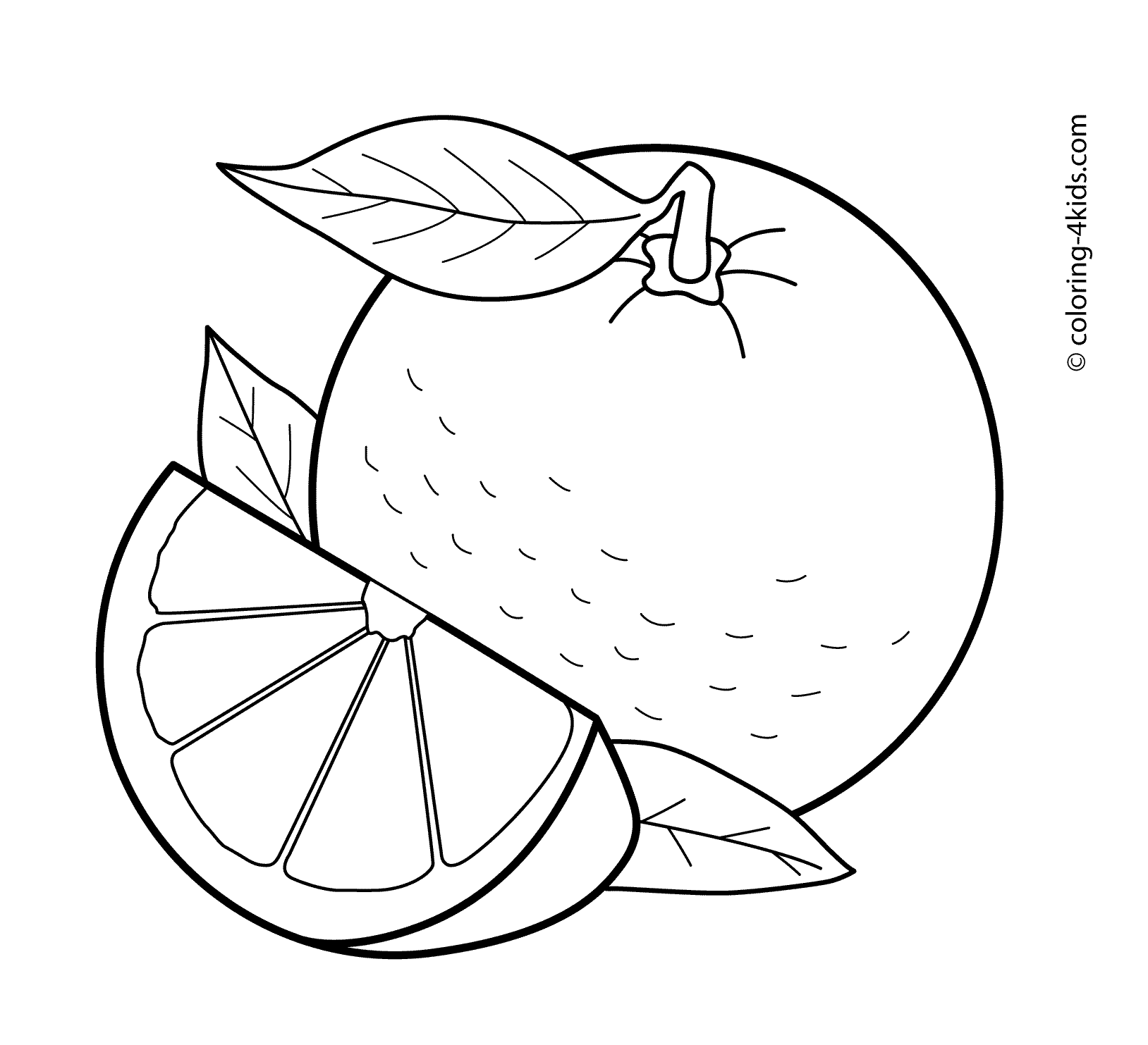picture of oranges orange coloring pages getcoloringpagescom picture of oranges 