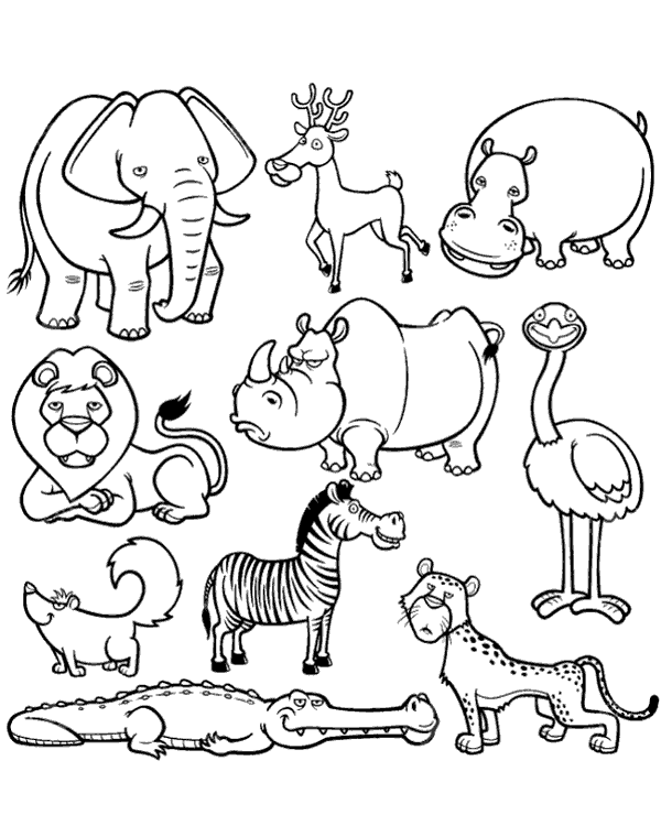 pictures african animals picture of african animals to color topcoloringpagesnet african pictures animals 