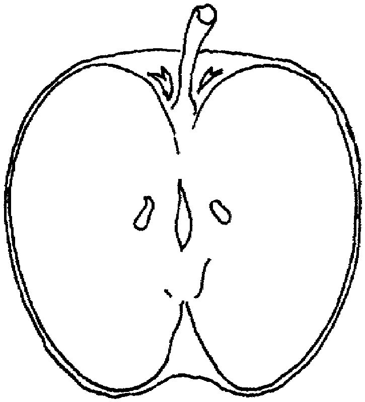 pictures of apples for kids free printable apple coloring pages for kids kids for apples of pictures 