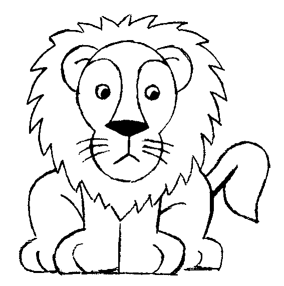 pictures of lions to color male lion drawing at getdrawingscom free for personal lions color to pictures of 
