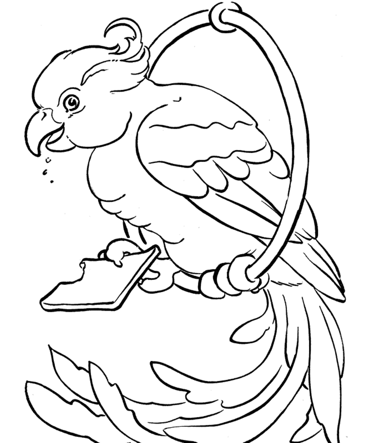 pictures of parrots to colour parrots coloring pages to download and print for free colour pictures of to parrots 