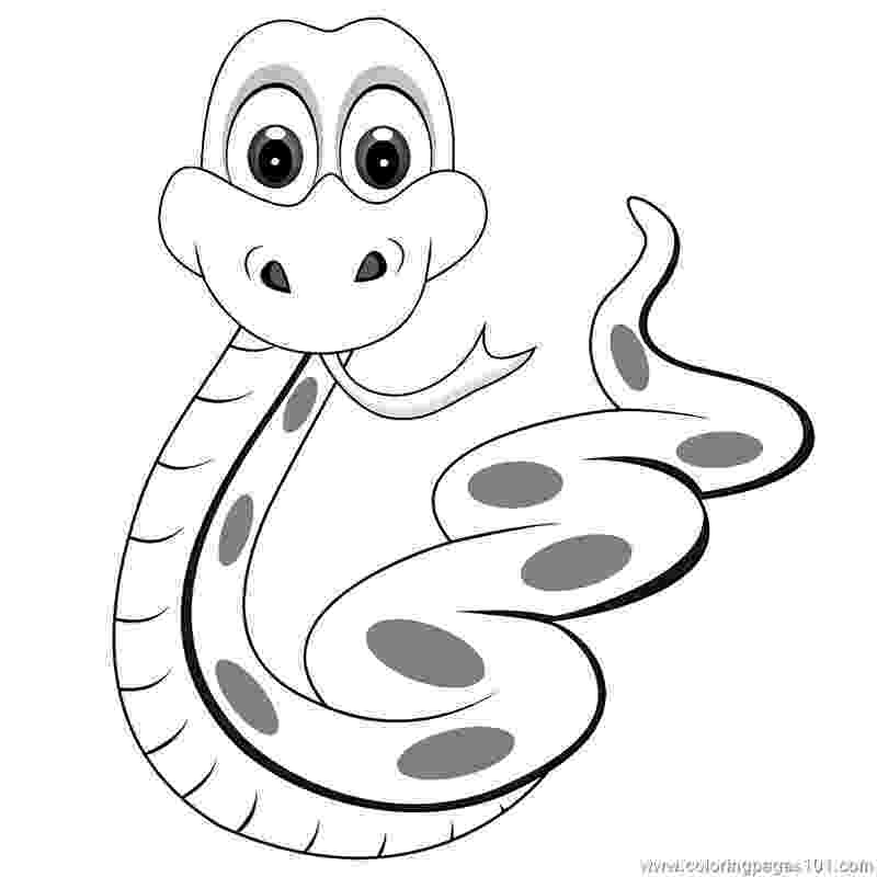 pictures of snakes to color 9 snake coloring pages jpg psd free premium templates to pictures of color snakes 
