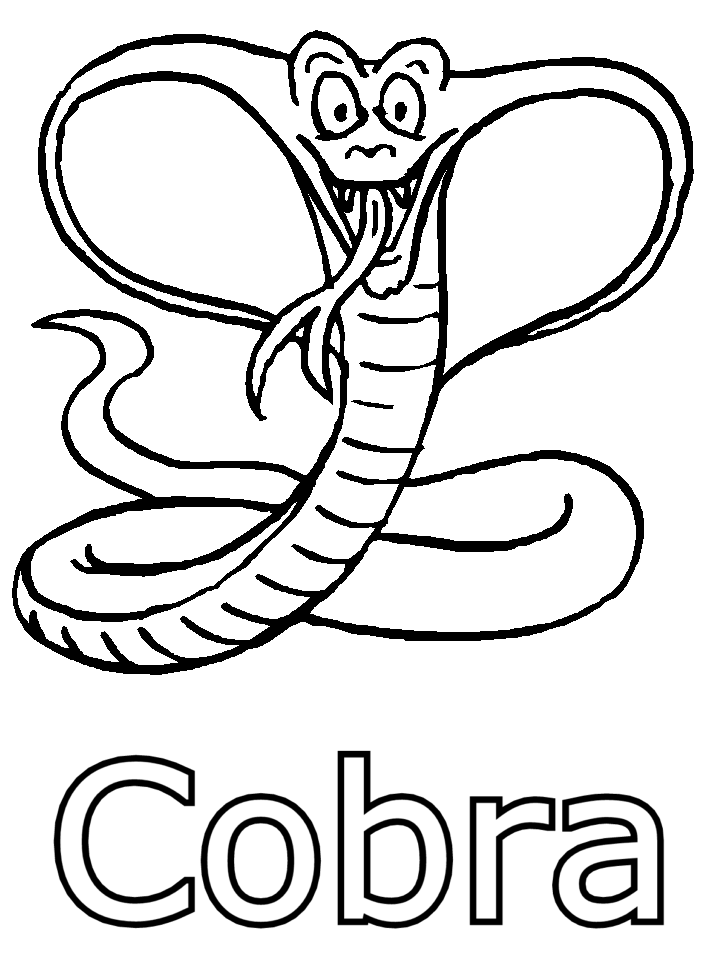 pictures of snakes to color amphibian and reptile coloring pages color of snakes to pictures 