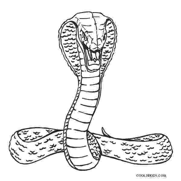 pictures of snakes to color free printable snake coloring pages for kids color of pictures to snakes 