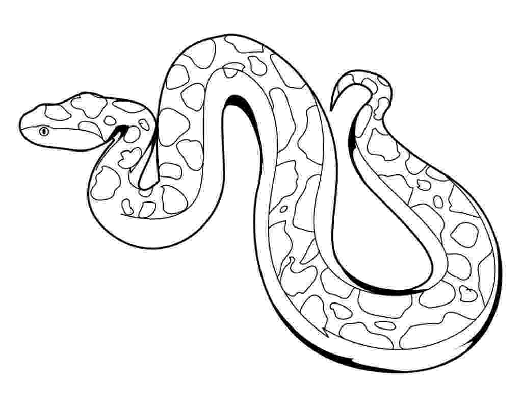 pictures of snakes to color free printable snake coloring pages for kids of color snakes to pictures 
