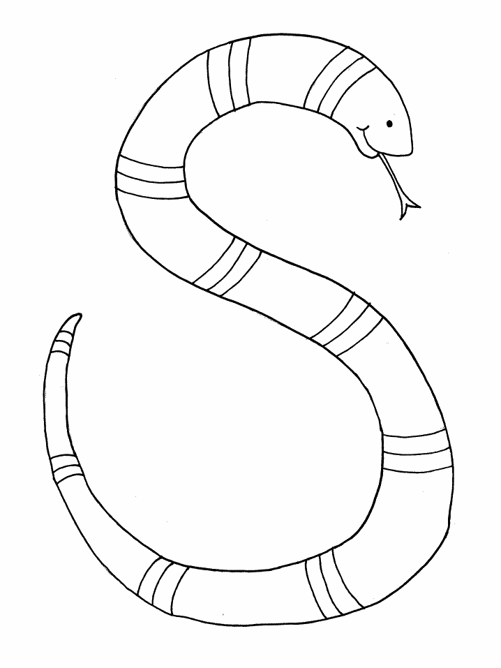 pictures of snakes to color free printable snake coloring pages for kids of pictures color snakes to 