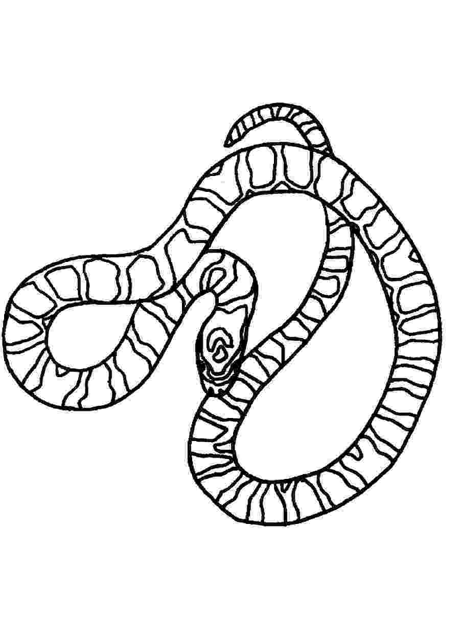 pictures of snakes to color snake coloring pages 4 coloring kids of snakes pictures to color 