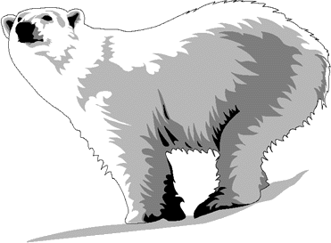 pictures of tundra animals free tundra cliparts download free clip art free clip pictures tundra of animals 