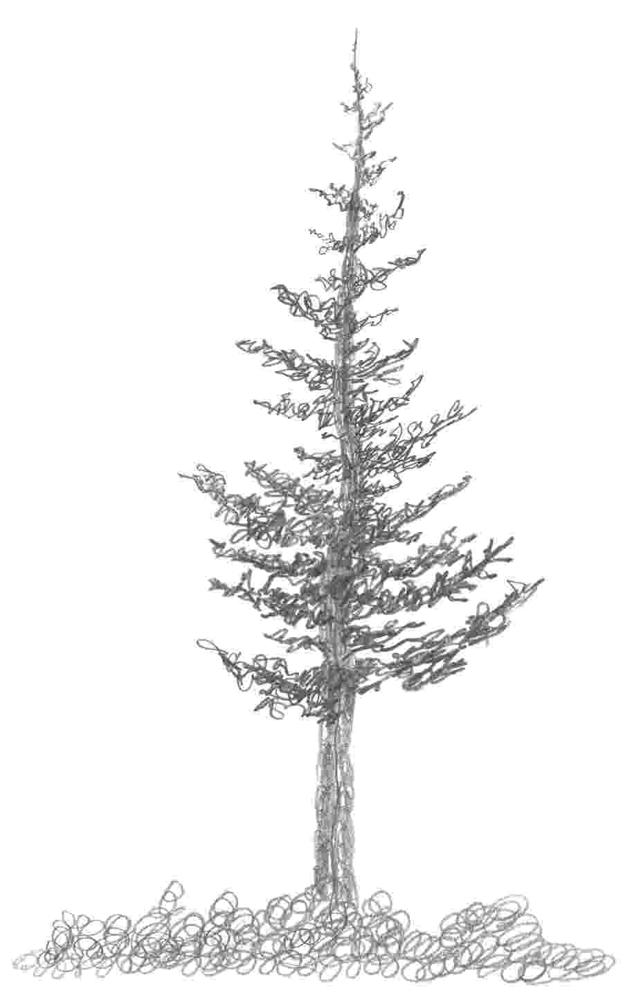 pine tree sketch sugar pine next tattoo make it happen pinterest pine tree sketch 