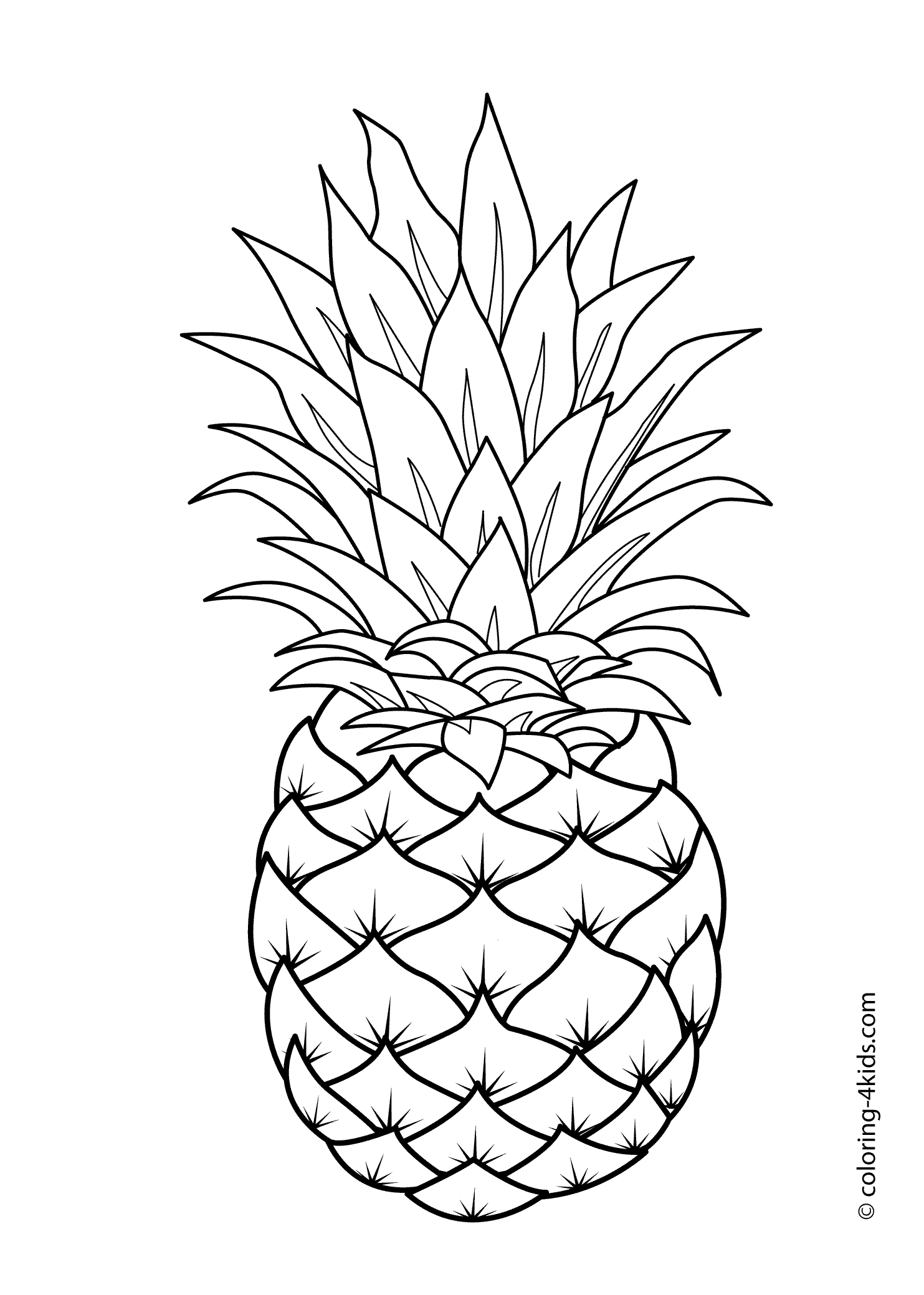 pineapple colouring picture free printable pineapple coloring pages for kids pineapple picture colouring 