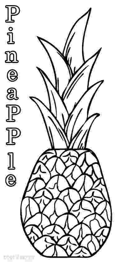 pineapple colouring picture pineapple coloring page clipart panda free clipart images colouring pineapple picture 