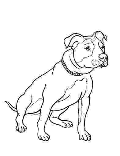 pitbull coloring pages 17 best images about pit bull color pages on pinterest coloring pitbull pages 