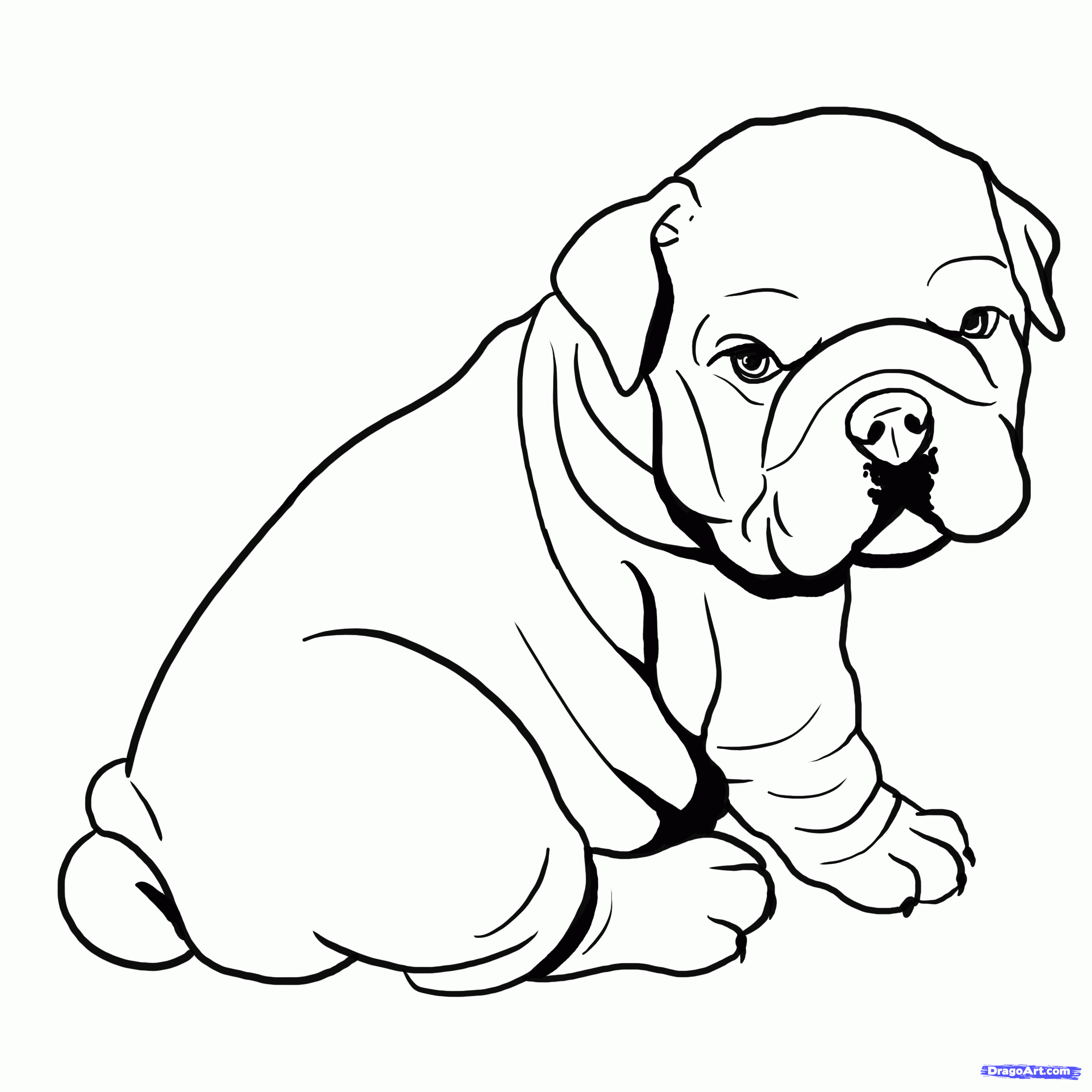 pitbull coloring pages drawing pictures of pitbulls at getdrawings free download pages coloring pitbull 