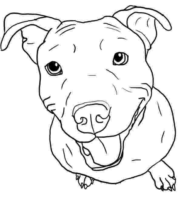 pitbull coloring pages pitbull stick her tongue out coloring page coloring sky pitbull pages coloring 