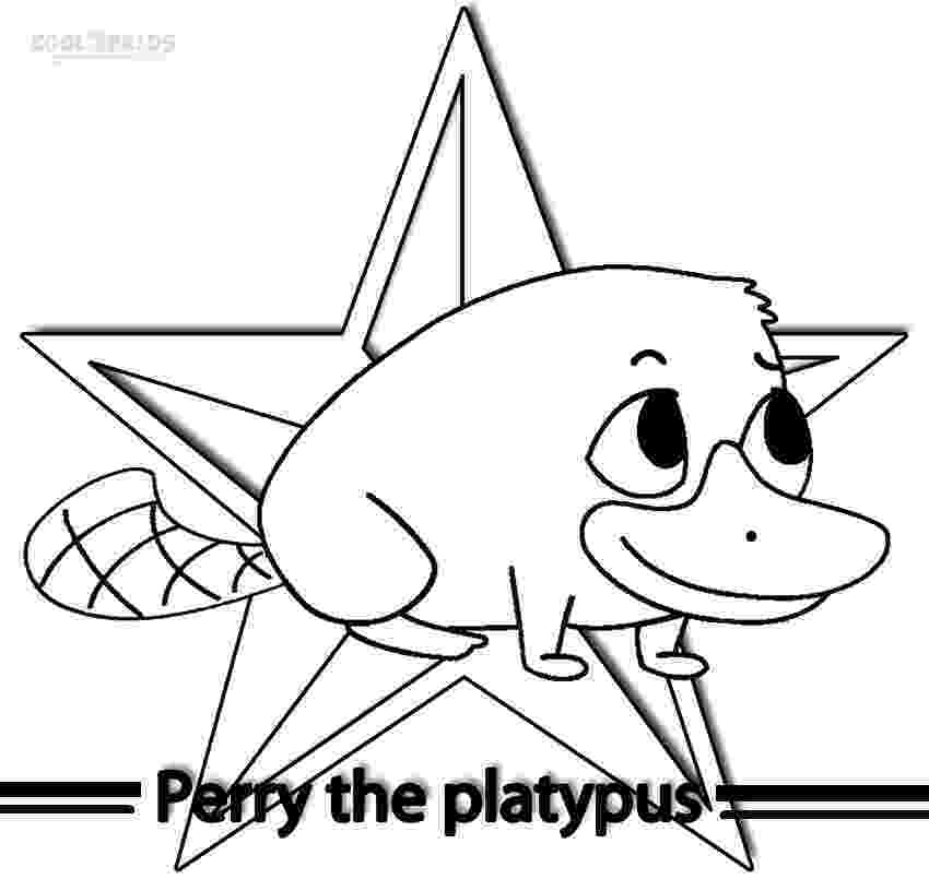 platypus coloring page coloring pages duck billed platypus coloring pages platypus page coloring 