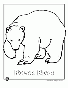 polar bear template editable polar bear templates sb9233 sparklebox polar template bear 