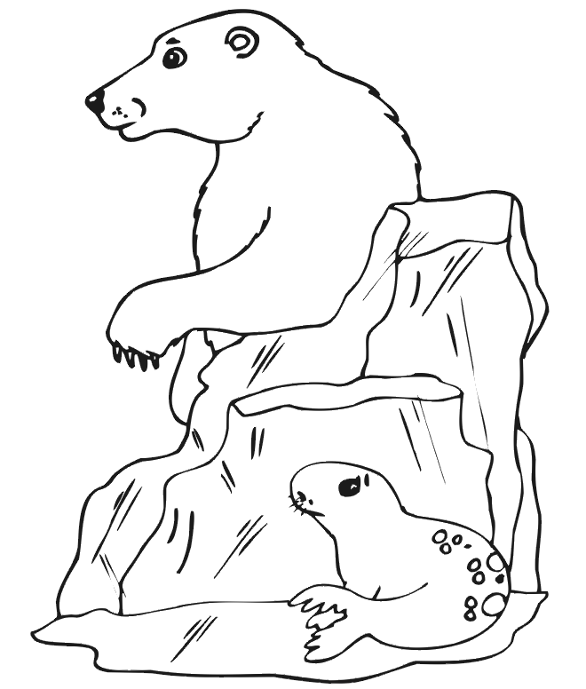 polar bear to color free printable bear coloring pages for kids polar to bear color 